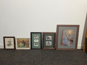 5 - Duck Pictures