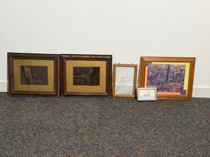 Framed Wildlife Pictures - Duck - Deer and Loon - see description for more detail