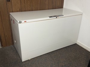 Montgomery Ward Signature Deluxe Twenty Three Freezer (contents inside are not included)