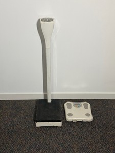 2 - Scales