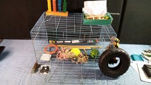 Bird cage with bird toys, fixtures and bird tuxedo