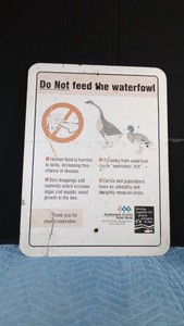 Metal Sign Do Not feed the waterfowl
