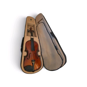Palatino VN-350 Campus Student Violin