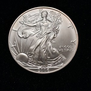 2006 Walking Liberty Dollar - Pristine - 1 Troy Oz fine silver
