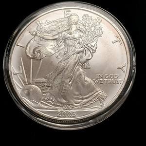 2003 American Silver Eagle bullion coin, containing one troy ounce of 99.9% fine silver.