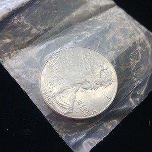 2025 American Silver Eagle 1 oz Bullion Coin - Uncirculated .999 Fine Silver