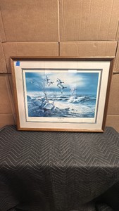 This framed artwork is Bluebill Point by artist Terry Redlin
