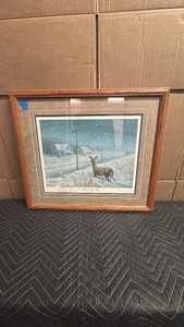 Framed artwork shown in the image is a collectible print titled 1991 Halloween Mega Storm by renowned wildlife artist Les Kouba