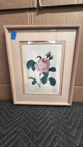 Framed botanical artwork is a vintage print of Rosa centifolia (Rosier  cent feuilles) by the renowned botanical illustrator Pierre-Joseph Redout, featuring a soft pink cabbage rose and closed buds
