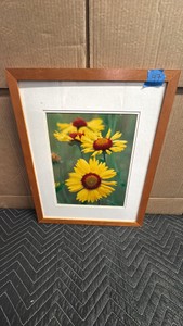 Framed photographfeatures bright yellow blanket flowers