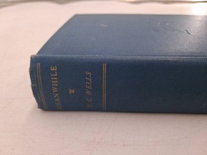H. G. Wells Meanwhile Hardcover Novel the Picture of a Lady