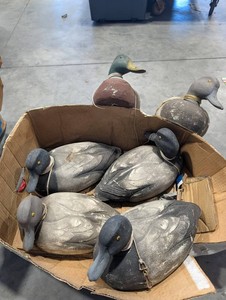 Duck Hunting Decoys (Lot of 7)