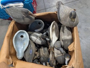 Mixed Lot Assorted Waterfowl Duck Decoys