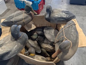 Duck Decoy Mixed Lot