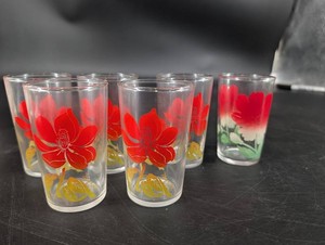 Floral Drinking Glasses - Red Hibiscus & Poppy Designs (Lot of 6)