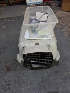 Small Sized Dog Kennel