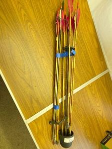 11 Field Point & 5 Hunting Arrows