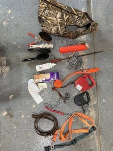 Dog Accessories