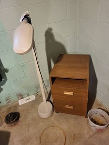 2 Piece Office Lot Verilux Floor Lamp and Rolling 2 Drawer Cabinet