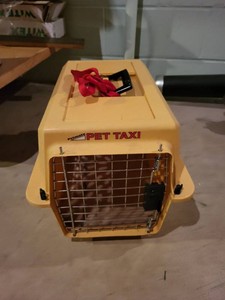 Petmate Pet Taxi Hard Plastic Pet Carrier Yellow Large