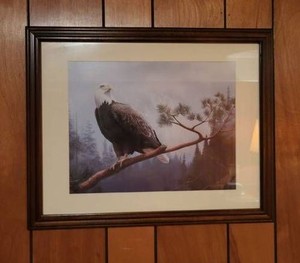 Framed Bald Eagle Wildlife Art Print Wood Frame Double Matted