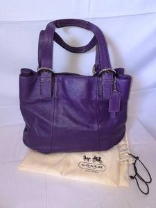 COACH Purse with Original Coach cover bag