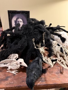 Scary Spiders (5), Skelatons (5), and Ravens for Halloween
