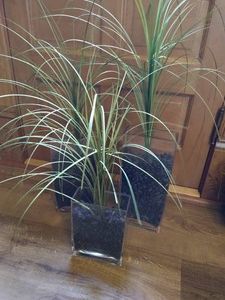 (3) Heavy Glass Decorative Vases