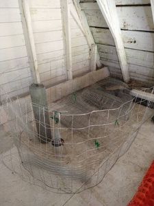 Wire Fencing Lot