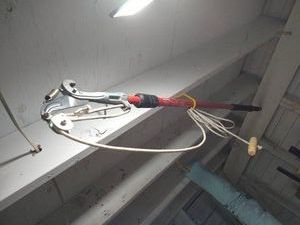 Corona Tree Branch Lopper With Extension Handle