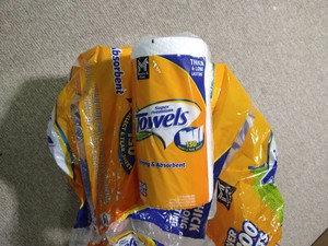 (6) Rolls Paper Towels