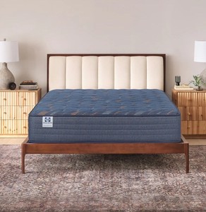 Sealy Performance Spring Level 1 PPS1 Full Mattress - NEW