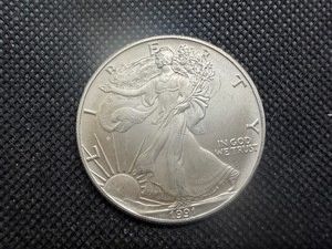 1991  Beautiful Uncirculated 1 Oz. Silver American Eagle