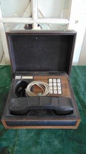 Vintage Phone in Case