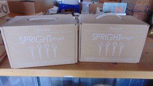 2- Spright-Smart Lights