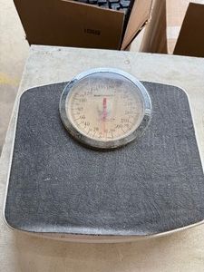 Scale