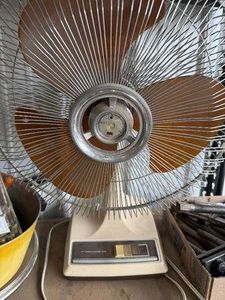Fan
