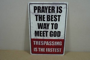 Novelty Metal Sign - Trespassing