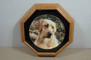 Vintage Wild Wings Yellow Lab Collectors Plate