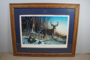 Jim Hansel Framed Print Resting Place