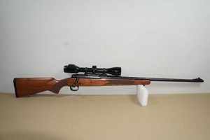 Winchester Model 70 Westerner .300 Win Mag Bolt-Action Rifle - Bushnell Scope
