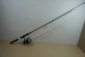 Daiwa Fishing Pole with Eagle Claw Reel