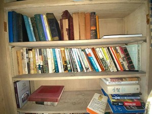 Assorted Vintage & Modern Books Hardcover Paperback Mixed Subject Lot