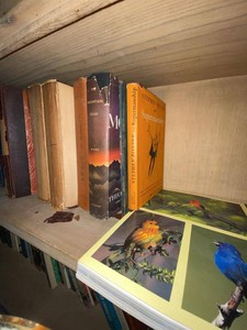 Assorted Vintage & Modern Books Hardcover Paperback Mixed Subject Lot