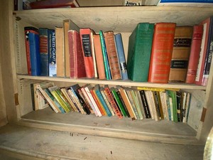Lot of Vintage Hardcover & Paperback Books Mixed Subjects Decor Resale