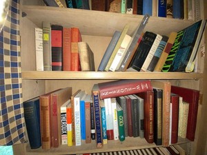 Assorted Vintage Hardcover Book Lot Literature History Reference