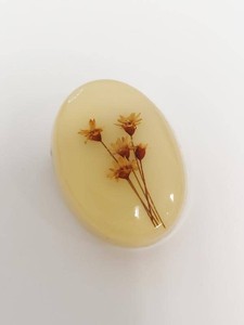Vintage Pressed Dried Flower Resin Oval Brooch Cream Lucite Pin