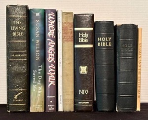 BR1 - Bible & Christian Book Lot (Lot of 8)