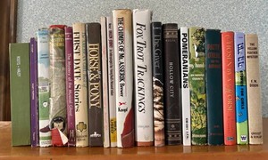 BR3 - Horse, Mystery & Childrens Book Mixed Lot (19 Books)