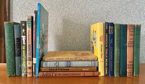 BR3 - Vintage Childrens Books Mixed Lot